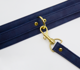 LIL COL047BLU COLLAR & LEASH GOLD HARDWARE BLUE