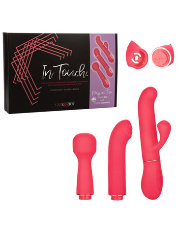 In Touch Passion Trio Vibrator Kit